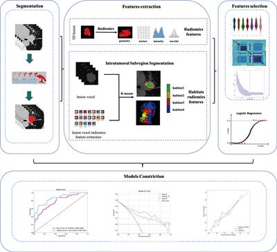 CT-based quantification of intratumoral heterogeneity for predicting pathologic complete response to neoadjuvant immunochemotherapy in non-small cell lung cancer